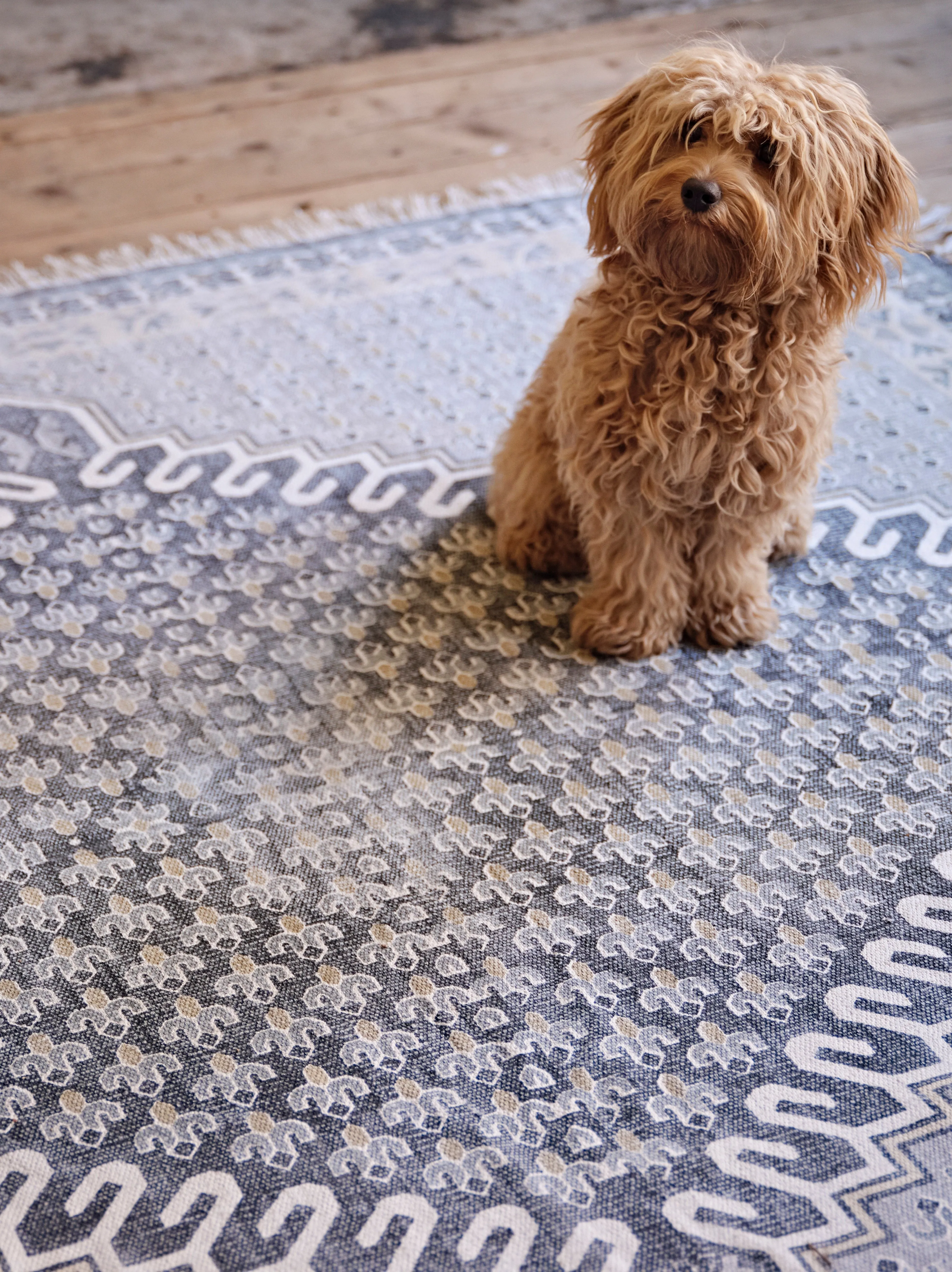 Extra Large Poppy Rug Blue