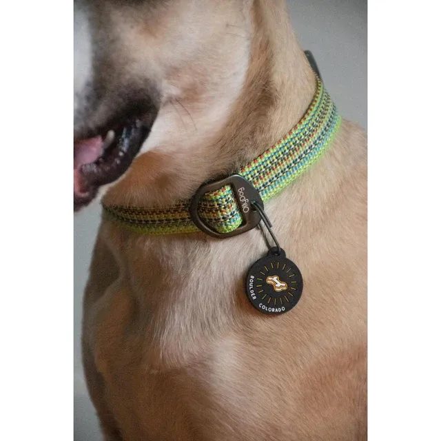 Olly Dog Rescue Collar