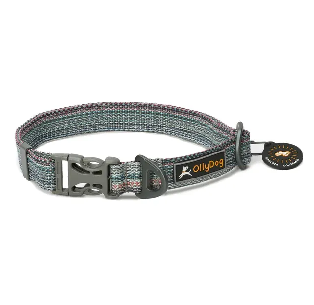 Olly Dog Rescue Collar