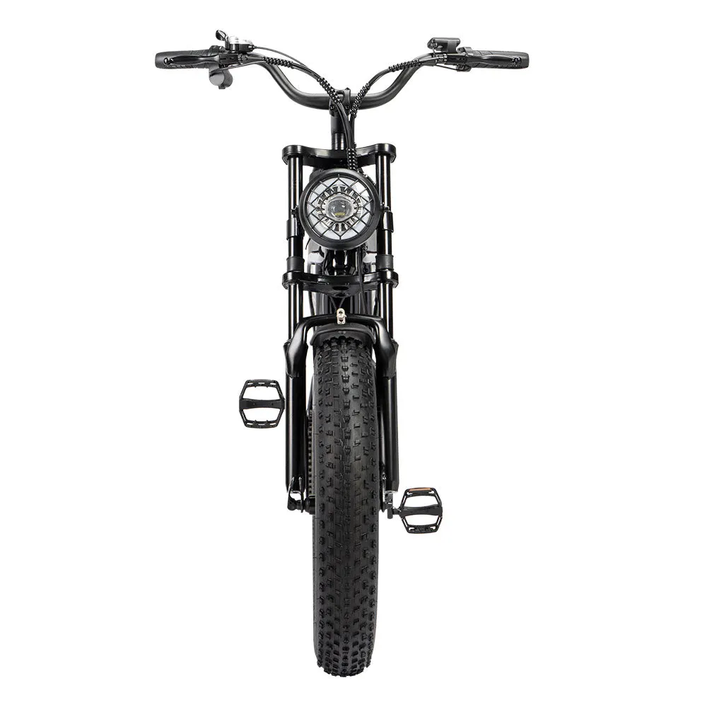 Ridstar Q20 Mini Electric Bike 20 Tires 1000W Motor 48V 15Ah Battery