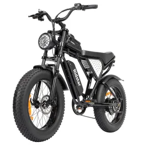 Ridstar Q20 Mini Electric Bike 20 Tires 1000W Motor 48V 15Ah Battery