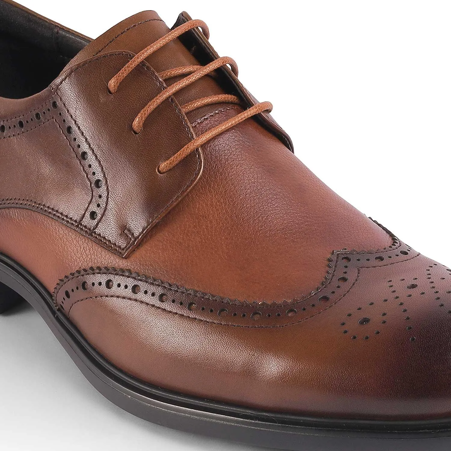 Tresmode St.James Brown Men's Oxford Brogue Lace Ups